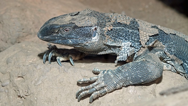 Jakie mydło na problemy skórne?