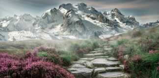 Dlaczego nie powinno się przynosić kamieni do domu?