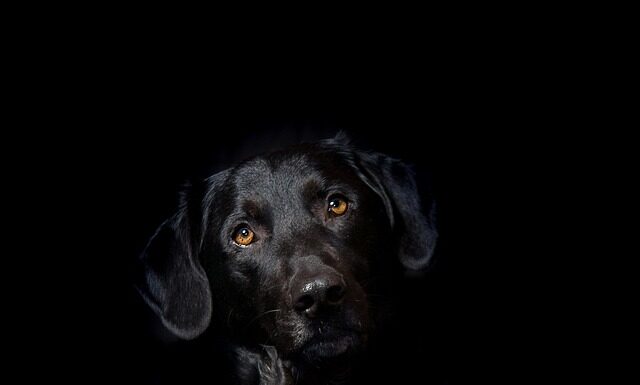 Po jakim czasie wychodzi uczulenie na Hybrydę?