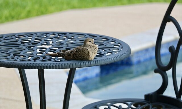 Ile po operacji można się kapać w basenie?