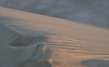 Co jest dobre na katar i zatoki?