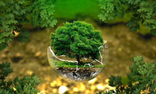 Jak podnieść biodra w pływaniu?