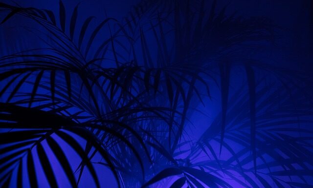 Jak nosić legginsy męskie?