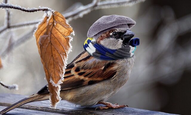 Jak się ogrzać pod namiotem?