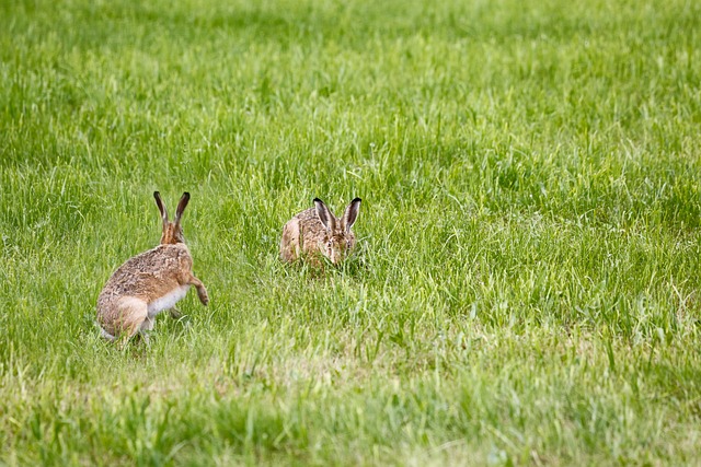 Po jakim czasie należy wymienić lampę LED? Po jakim czasie należy wymienić lampę LED?