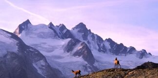 Jakie buty na trekking w Himalaje?
