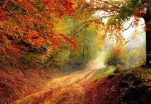 Jak się ubrać do lasu latem?