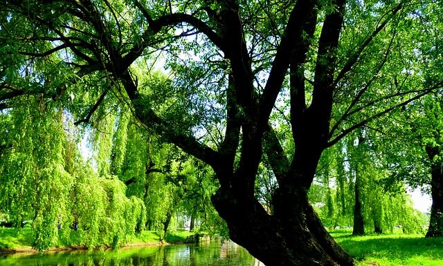 Co zabrać ze sobą na wyjazd na Mazury?