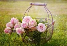 Gdzie są kosze na plaży?