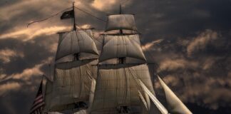 Jaka nawigacja na rower do lasu?