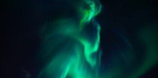Jak zacząć pracę z ziemi z koniem?