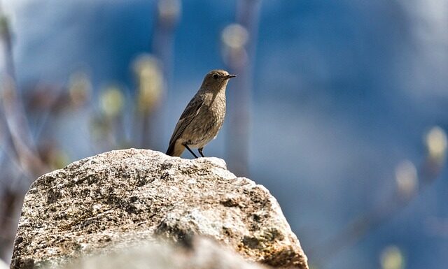 Jak pozbyć się pleśni z namiotu?