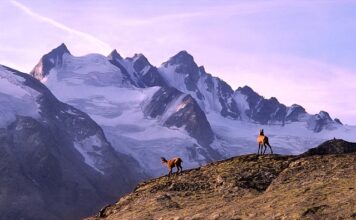 Ile kosztuje trekking pod Everest?