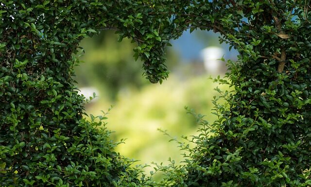 Po co jest zielone światło w latarce? Po co jest zielone światło w latarce?