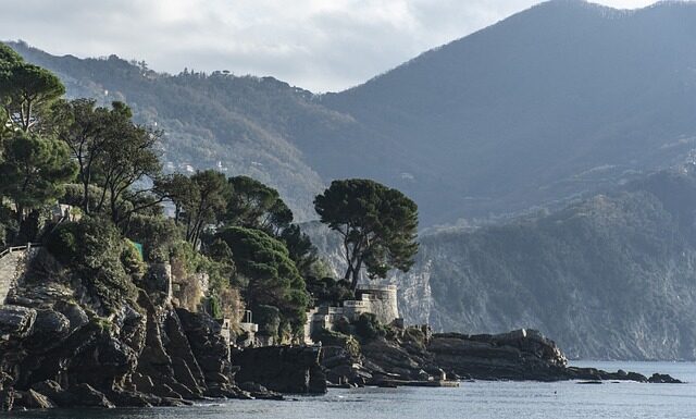 Ile kosztuje profesjonalny łuk? Ile kosztuje profesjonalny łuk?